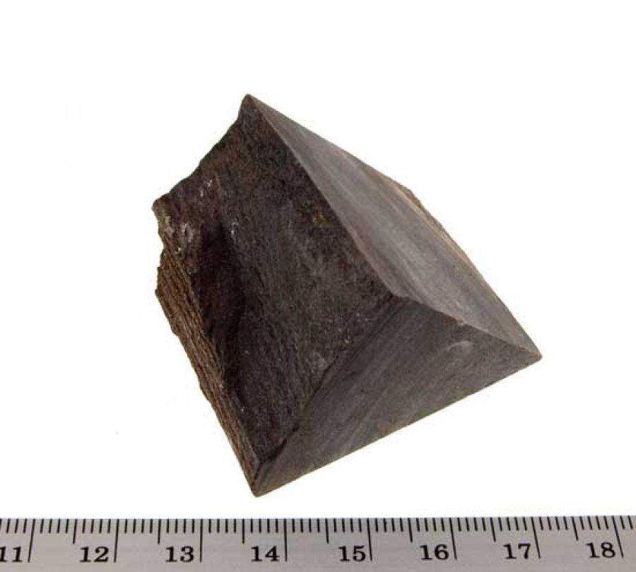 Fossiles Holz #4: B/T/H: 45/35/30 mm, Gewicht: 62 g